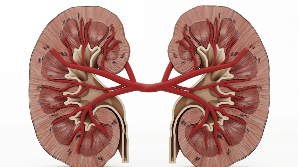 Glomerulonephritis